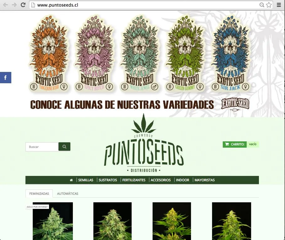 Punto Seeds