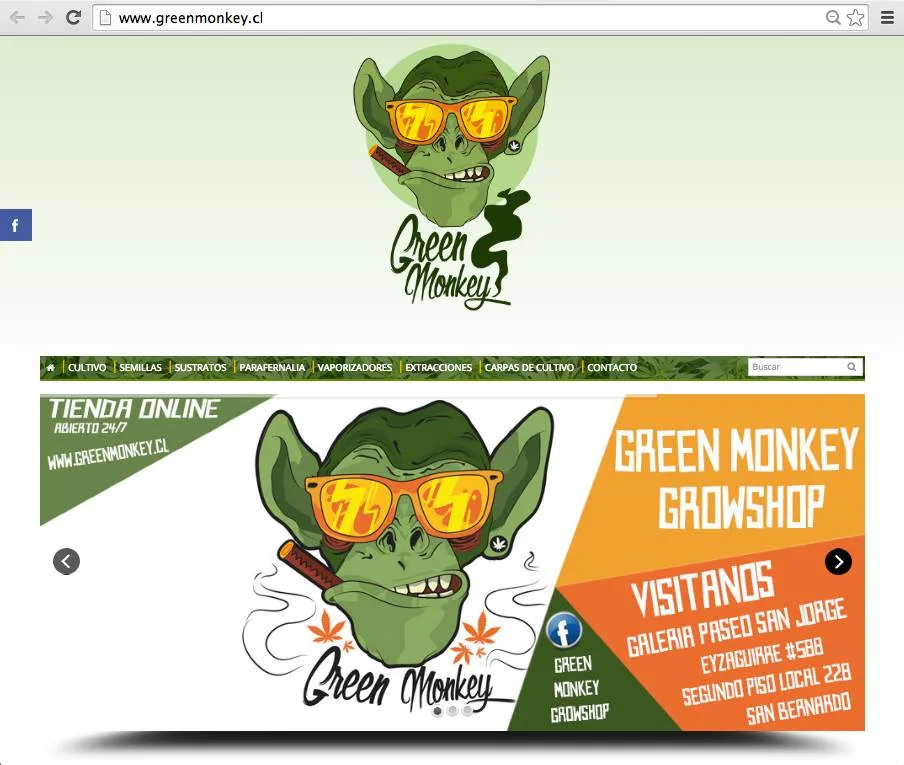 Green Monkey